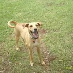 Beatriz