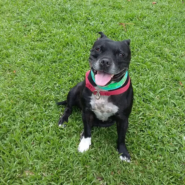 A happy guest playing in the gardens