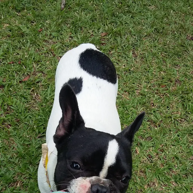 A happy guest playing in the gardens